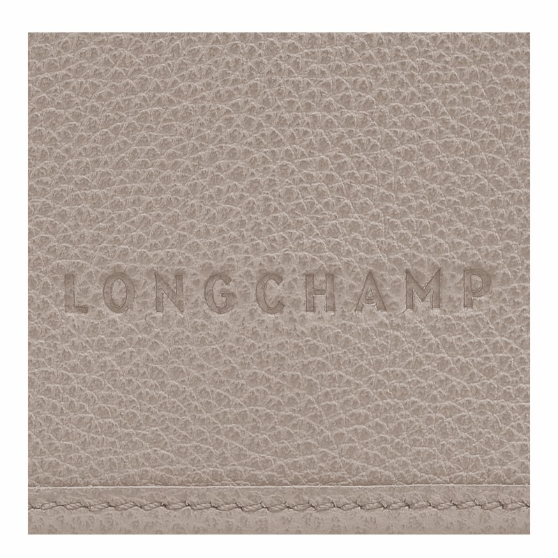 Clutch Longchamp Le FOULONNÉ XS Femme Grise Soldes | 10133021P55