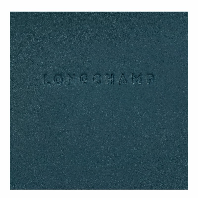 Coque Longchamp Le FOULONNÉ Femme Bleu Soldes | 34200HFI806