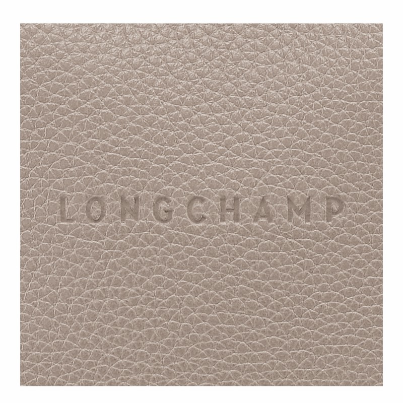 Sac Bandoulière Longchamp Le FOULONNÉ M Femme Grise Soldes | 10140021P55