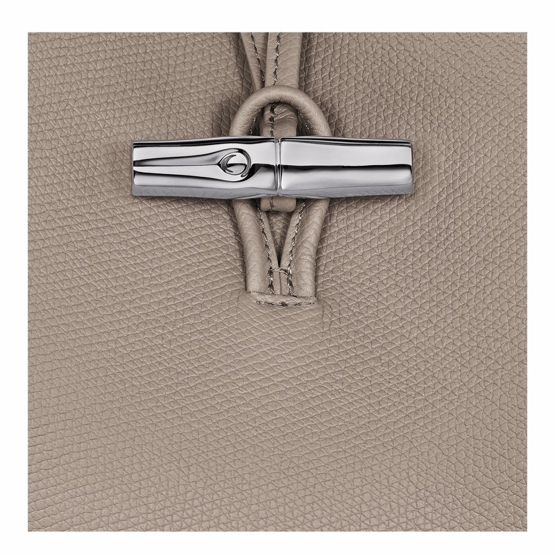 Sac Bandoulière Longchamp Le Roseau M Femme Grise Soldes | 10281HFP266