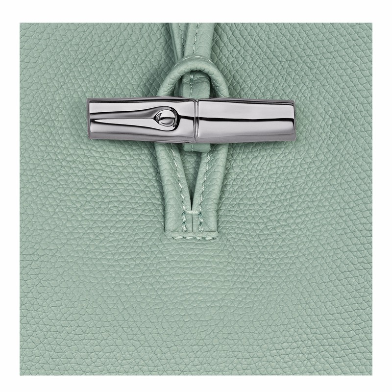 Sac Bandoulière Longchamp Le Roseau M Femme Céladon Soldes | 10281HFP282