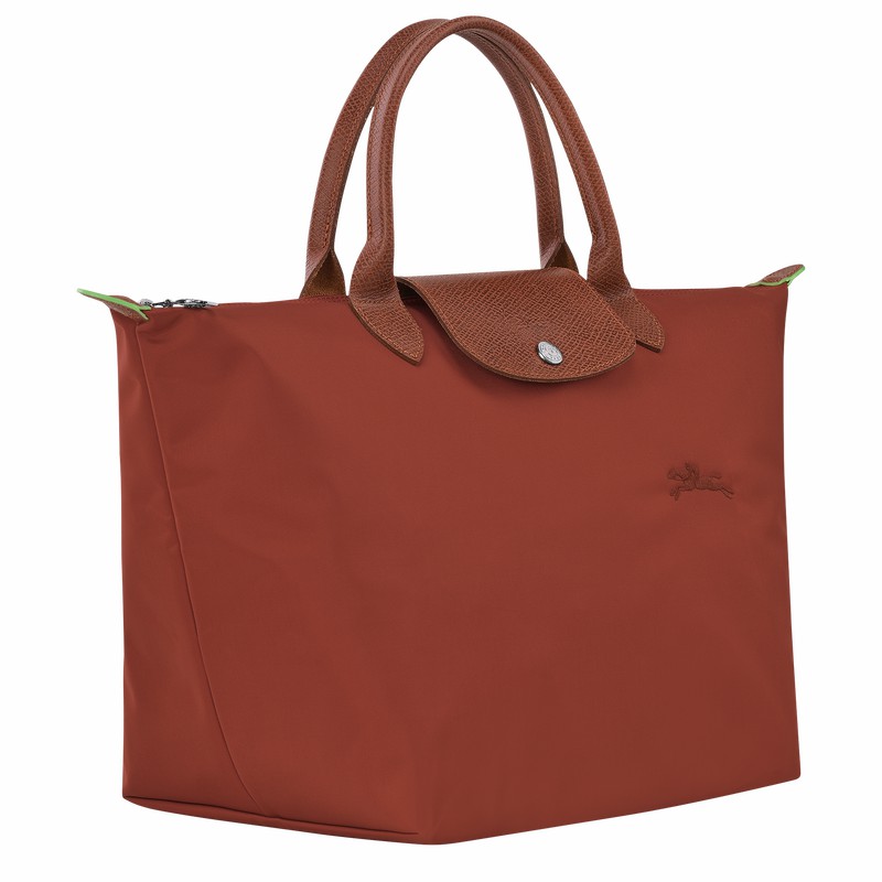 Sac a Main Longchamp Le Pliage Green M Femme Marron Soldes | L1623919404