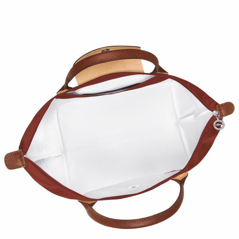 Sac a Main Longchamp Le Pliage Green M Femme Marron Soldes | L1623919404