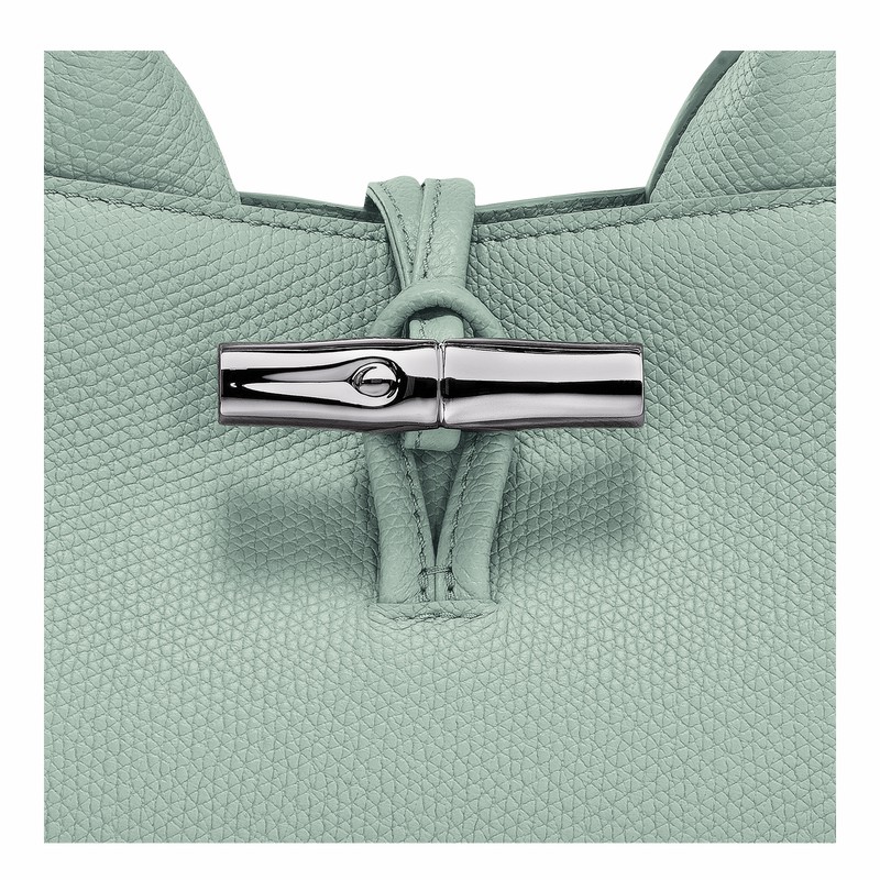 Sac a Main Longchamp Le Roseau S Femme Céladon Soldes | 10280HFP282