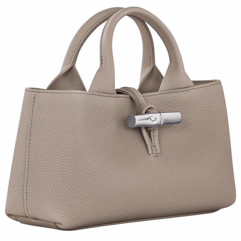 Sac a Main Longchamp Le Roseau S Femme Grise Soldes | 10280HFP266