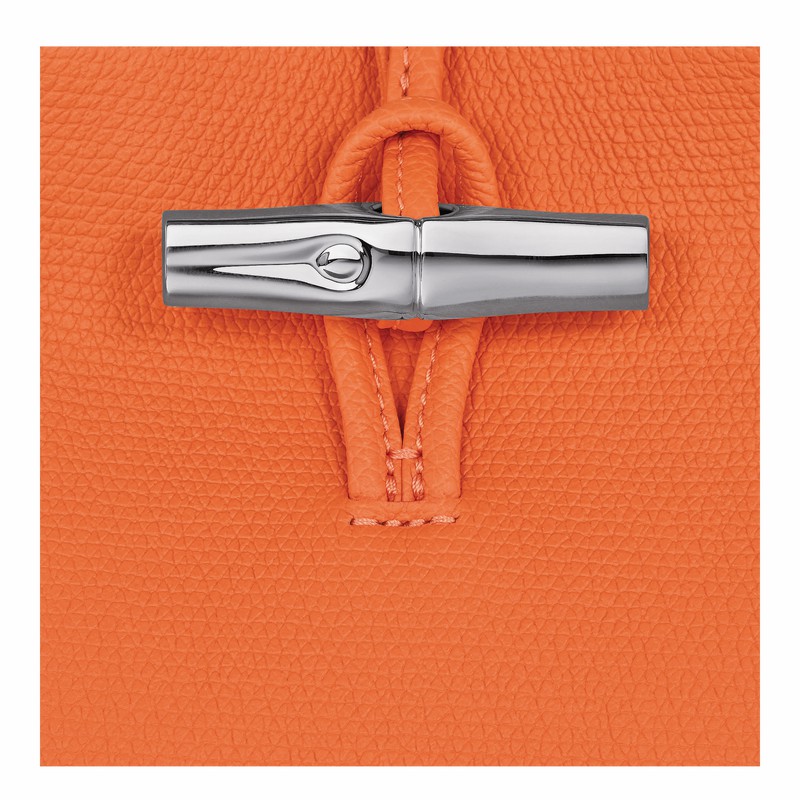 Sac a Main Longchamp Le Roseau S Femme Orange Soldes | 10273HFP017