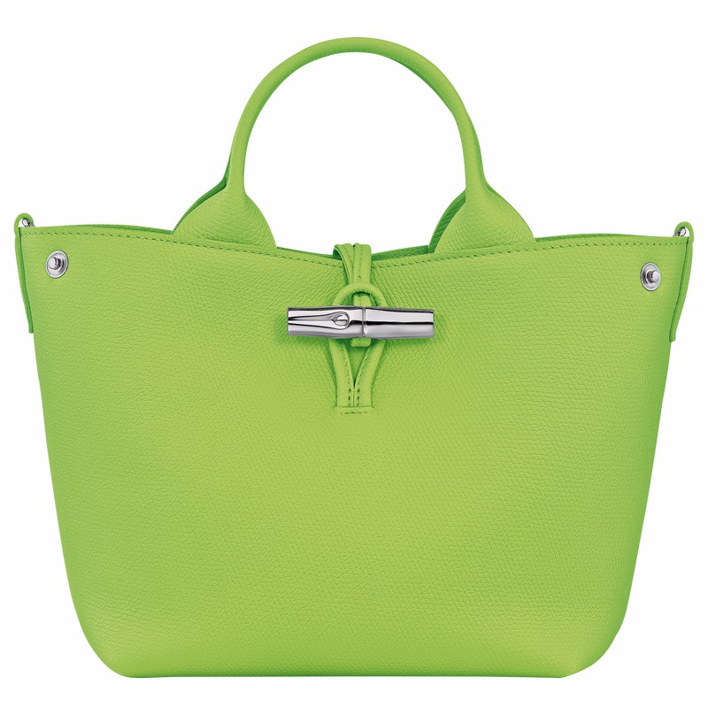Sac roseau longchamp soldes outlet